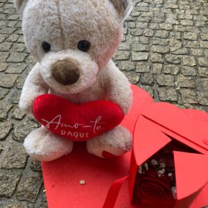 Caixa coração e peluche