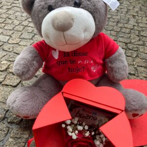 Teddy box