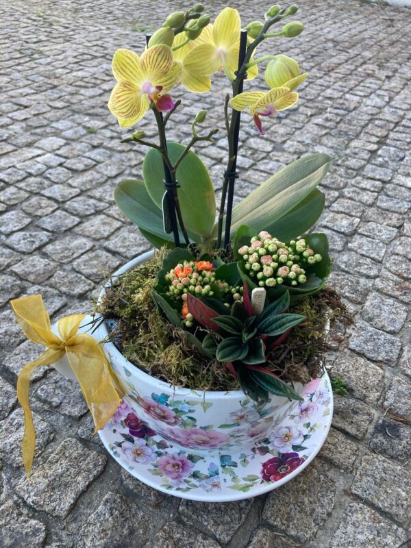 Chávena de Amor