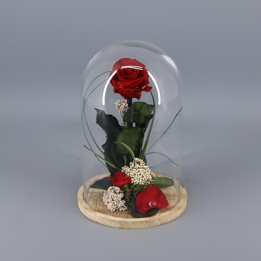 Cúpula de Rosa Eterna