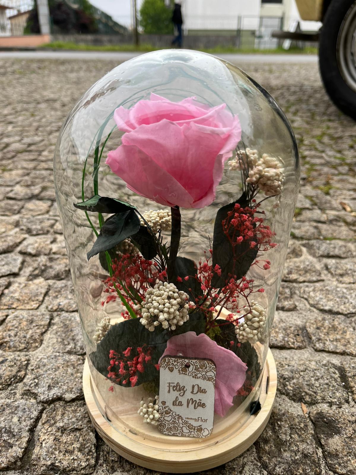 Cúpula de Rosa Eterna Rosa